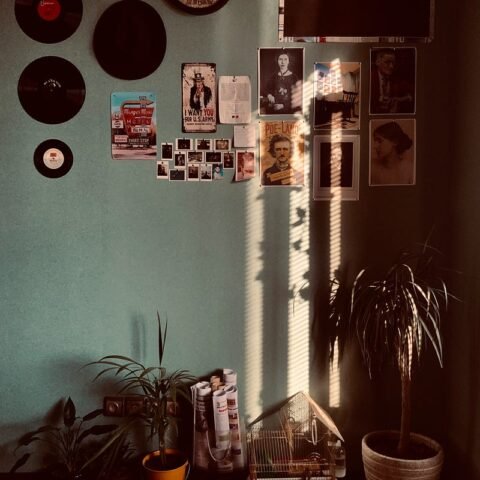 Photo by mahdi yousefi from Pexels